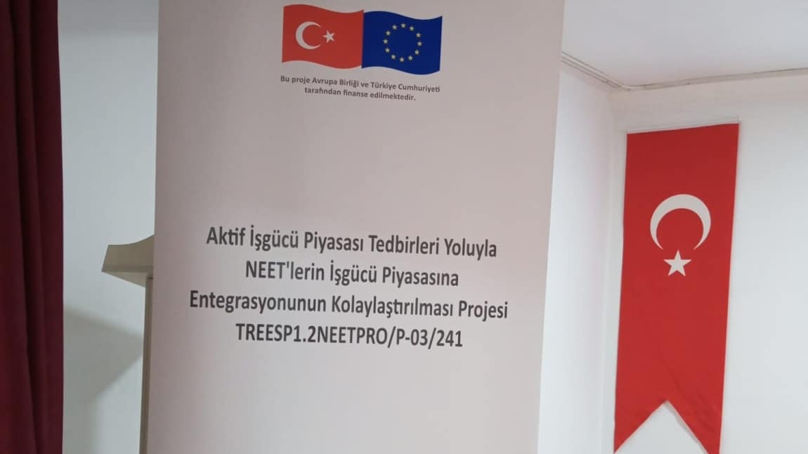 Avrupa Birliği Neet Projesi